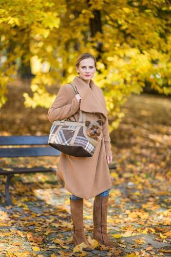 amiplay Torba transportowa Kent L - amiplay