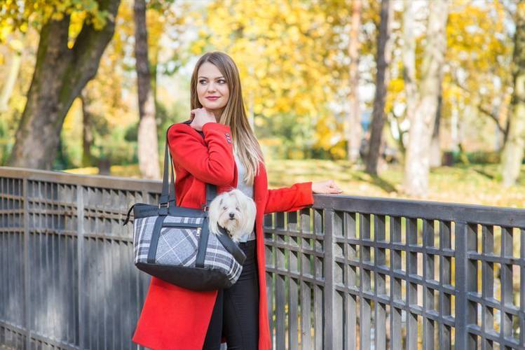 amiplay Torba transportowa Kent L - amiplay