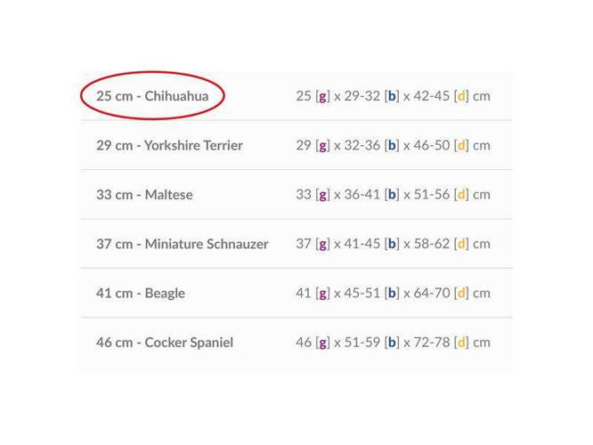 Kurtka z kapturem Boston 25 cm Chihuahua szara - amiplay