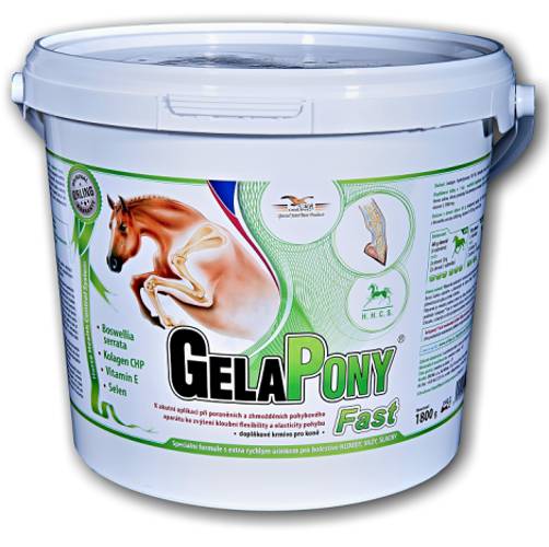 GelaPony Fast 1,8 kg