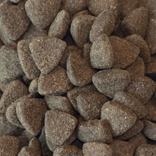 Karma sucha dla psa - Brytyjska jagnięcina z miętą, granatem, morwą, brokułami i fenkułem 2kg -