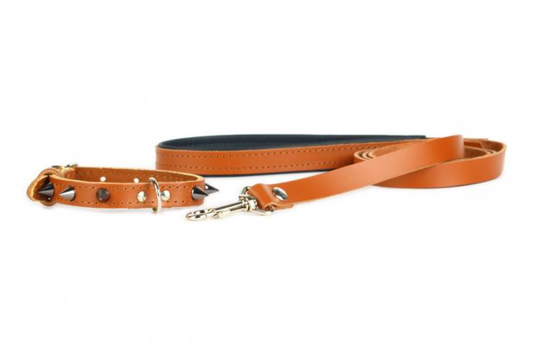 Obroża Skóra Kolec – Brązowa 0262 14MM 34CM 23-31CM - matteo-company