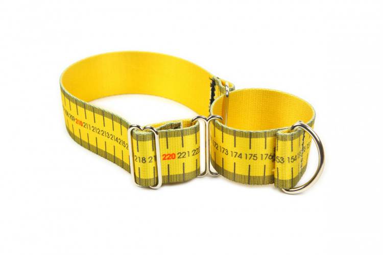 Obroża Zaciskowa Martingale - Miara 0584 25MM 34-36CM - matteo-company