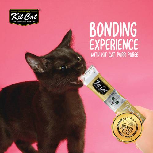 Kit Cat PurrPure kurczak z wędzoną rybą 4x15g - PurePuree