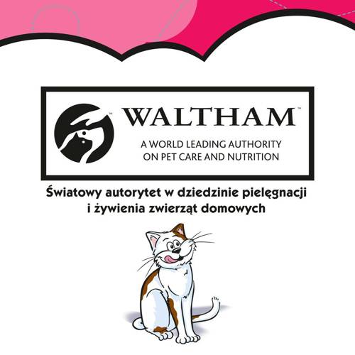 Dreamies z Wyśmienitą Wołowiną 6x 60g - Dreamies