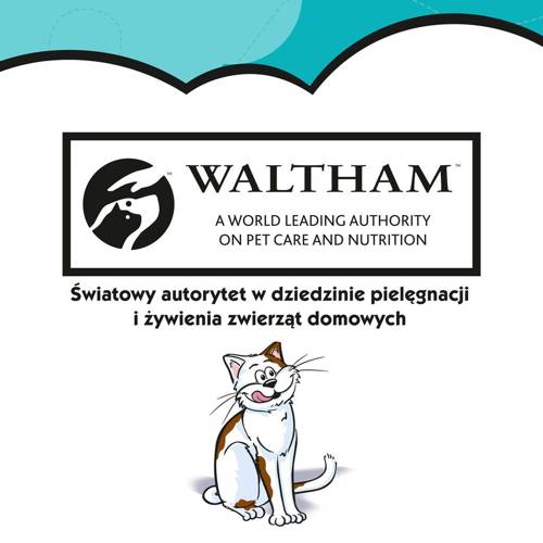Dreamies z Wyśmienitym Łososiem 60g - Dreamies
