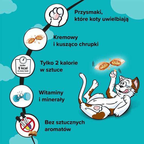 Dreamies z Wyśmienitym Łososiem 60g - Dreamies