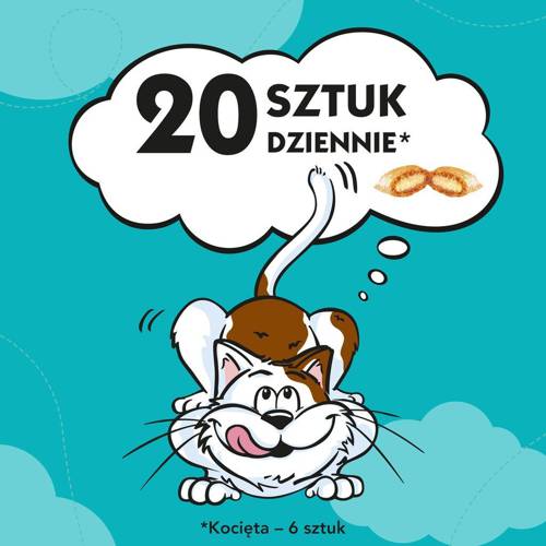 Dreamies z Wyśmienitym Łososiem 60g - Dreamies