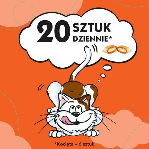 Dreamies z Wyśmienitym Kurczakiem 60g - Dreamies