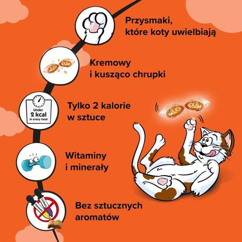 Dreamies z Wyśmienitym Kurczakiem 60g - Dreamies