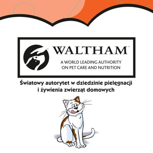 Dreamies z Wyśmienitym Kurczakiem 60g - Dreamies