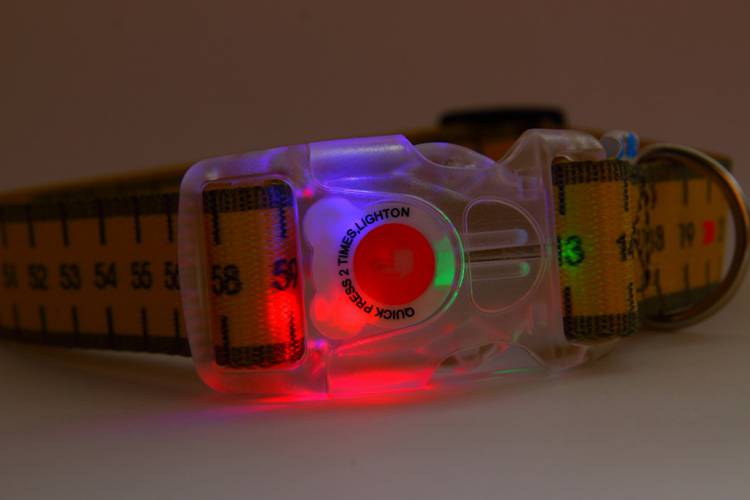 Obroża Klamra LED - Miara 0554 25MM 0CM 38-65CM - matteo-company