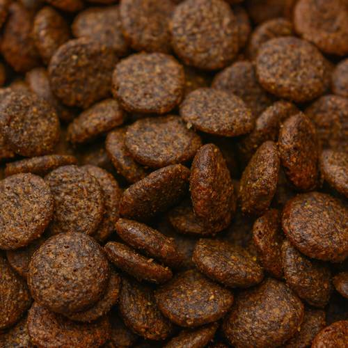 Karma sucha dla psa - Dziczyzna z jelenia z batatami i morwą 12kg - EcoFood24