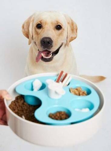 Pet Dream House Spin Palette Blue Medium miska interaktywna - Petstages