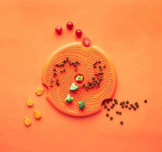 Pet Dream House Spin Lick Frisbbe Orange Medium mata do lizania - Petstages