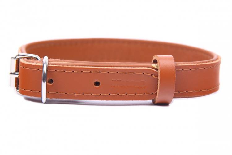 Obroża skóra Premium Brąz-Brąz 1201 20MM 40CM 28-36CM - matteo-company
