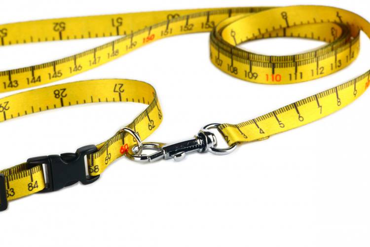Obroża Klamra Plastikowa - Miara 0514XL 40MM 40-66CM - matteo-company