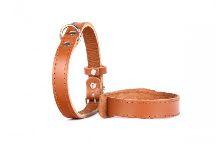 Obroża Skóra Gładka – Brązowa 0092 35MM 67CM 46-62CM - matteo-company