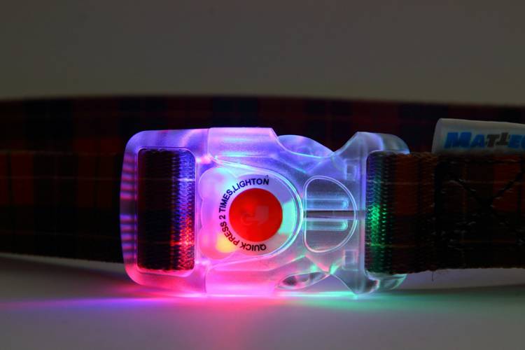 Obroża Klamra LED - Szkocka Krata 0546 20MM 55CM 35-50CM - matteo-company