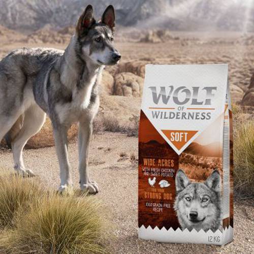 Wolf of Wilderness „Soft – Wide Acres”, kurczak 1 kg - Wolf Of Wilderness