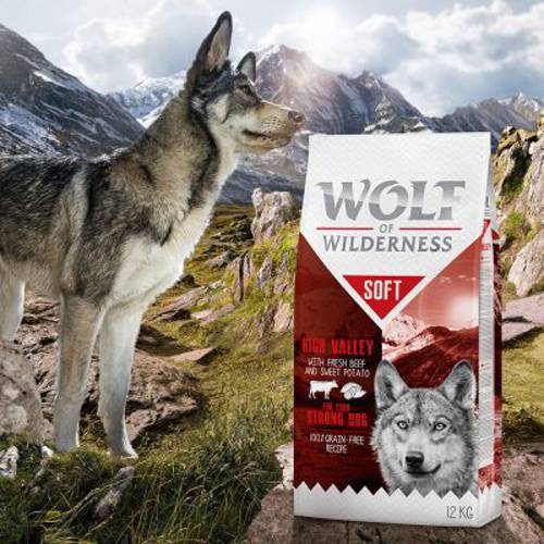 Wolf of Wilderness „Soft - High Valley”, wołowina 2 x 12 kg - Wolf Of Wilderness