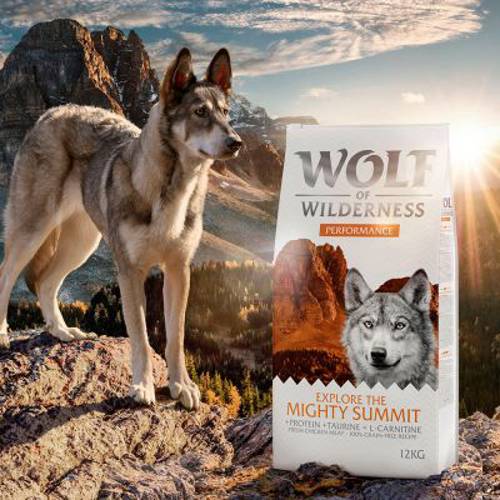Wolf of Wilderness "Explore The Mighty Summit" - Performance 400 g - Wolf Of Wilderness