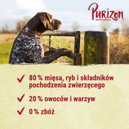 Purizon Adult, ryba, bez zbóż 4 x 1 kg - Purizon