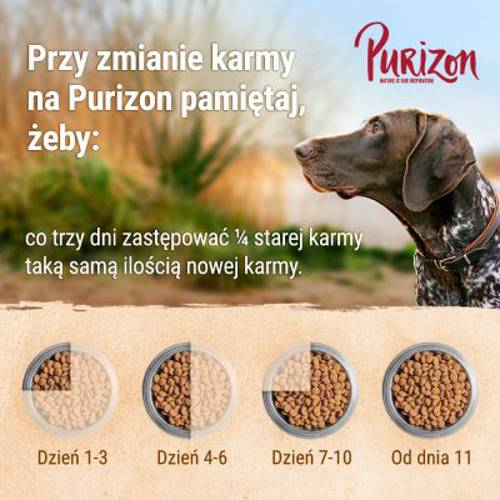 Purizon Adult, ryba, bez zbóż 4 x 1 kg - Purizon