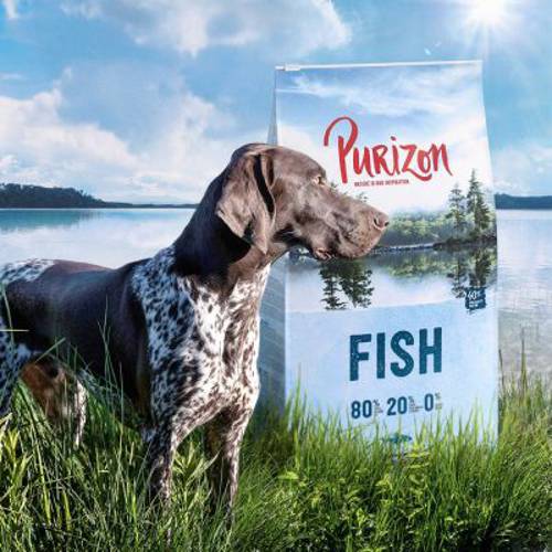 Purizon Adult, ryba, bez zbóż 4 x 1 kg - Purizon
