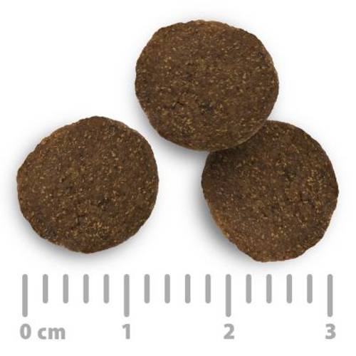 Purizon Adult, dziczyzna i królik, bez zbóż 1 kg - Purizon