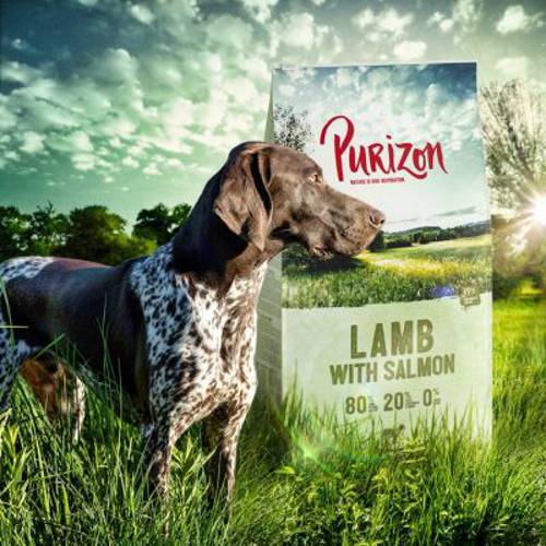 Purizon Adult, jagnięcina i łosoś, bez zbóż 1 kg - Purizon