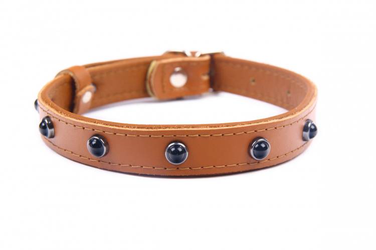 Obroża skóra Premium Kryształ - Brąz-Brąz 1321 24MM 44CM 33-41CM - matteo-company
