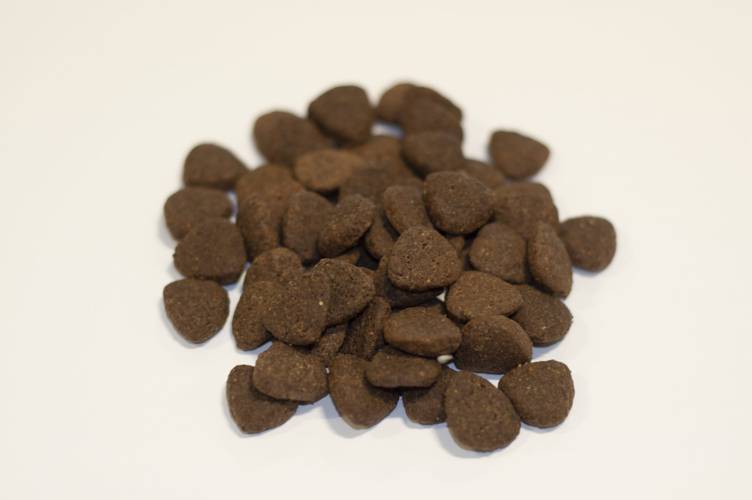 Karma sucha dla psa - Wołowina Angus z marchewką, zieloną fasolką, kalafiorem, pomidorami i cukinią 2kg - 