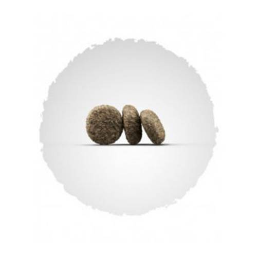 Josera MiniVita 2 x 4,5 kg (10 x 900 g) -