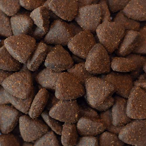 Karma sucha dla psa - Kurczak z wolnego wybiegu z imbirem, granatem, jarmużem, karczochami i jagodami 6kg - EcoFood24