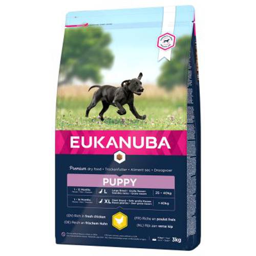 Eukanuba Puppy Large Breed, kurczak 3 kg - Eukanuba