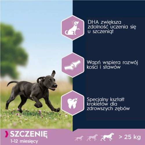 Eukanuba Puppy Large Breed, kurczak 3 kg - Eukanuba