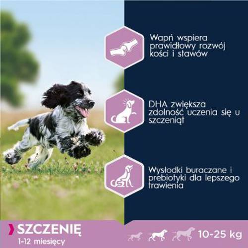 Eukanuba Growing Puppy Medium Breed, kurczak 3 kg - Eukanuba