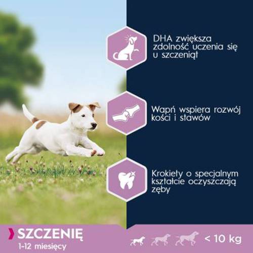 Eukanuba Growing Puppy Small Breed, kurczak 3 kg - Eukanuba