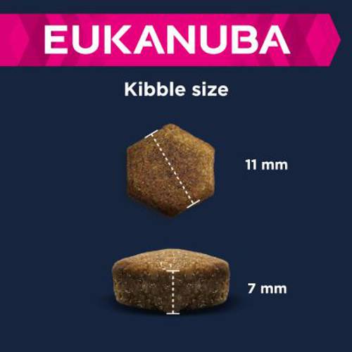 Eukanuba Puppy Large & Giant Breed, jagnięcina i ryż 2 x 12 kg - Eukanuba