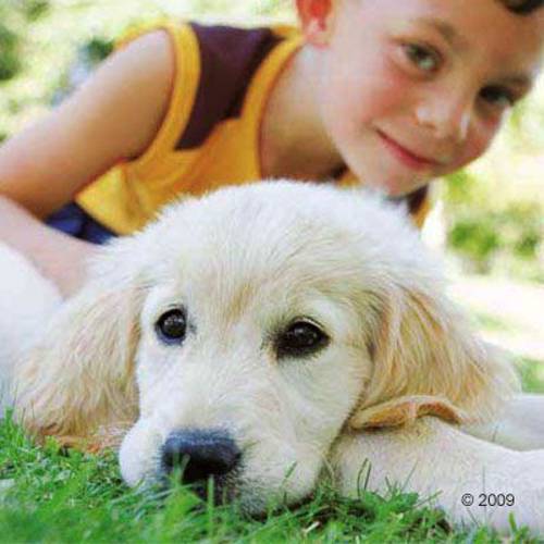 Happy Dog Supreme Mini Baby & Junior 4 kg - 