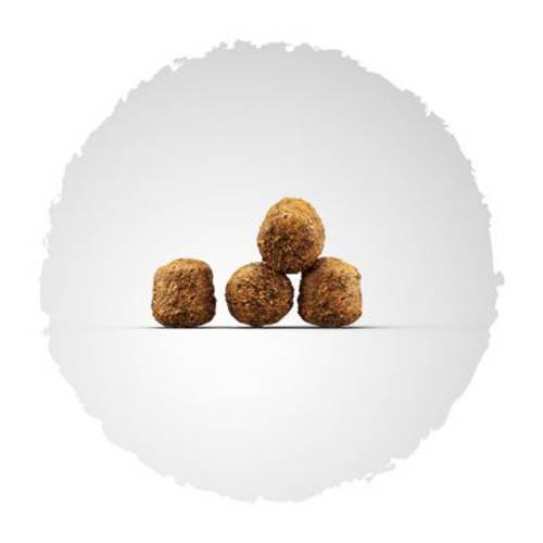 Josera FamilyPlus 2 x 15 kg -