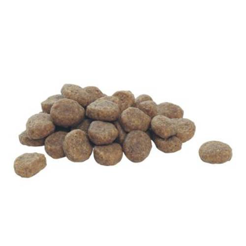 Pro Plan OptiDigest Medium Puppy, jagnięcina i ryż 12 kg - Purina Pro Plan