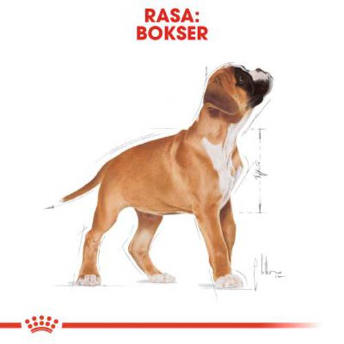 Royal Canin Breed Boxer Puppy 12 kg - Royal Canin