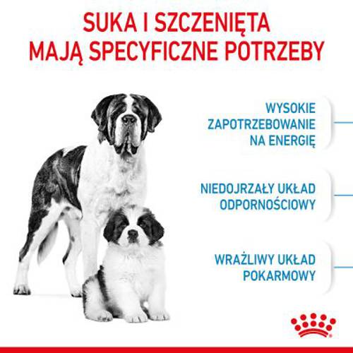 Royal Canin Giant Starter Mother & Babydog 2 x 15 kg - Royal Canin Size