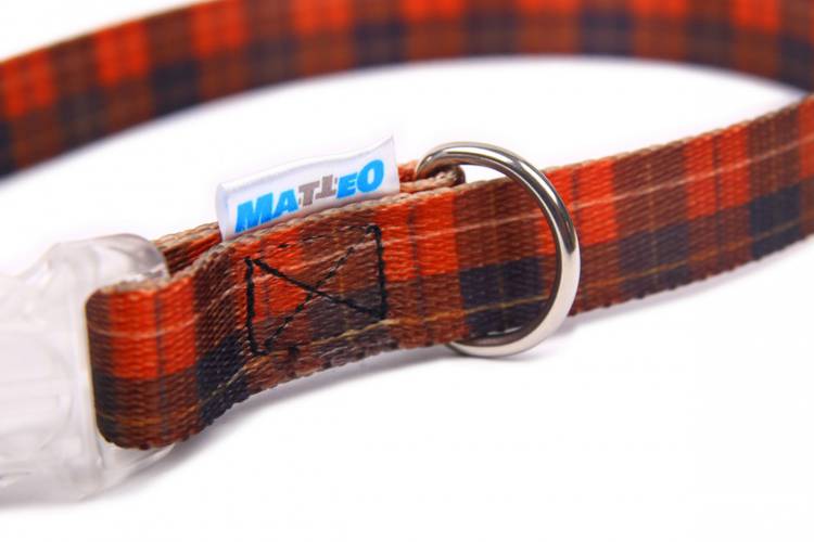 Obroża Klamra LED - Szkocka Krata 0546 20MM 55CM 35-50CM - matteo-company