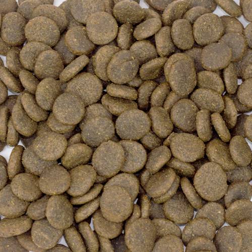 Karma sucha dla psa - Łosoś z pstrągiem, batatami i szparagami 2kg - EcoFood24