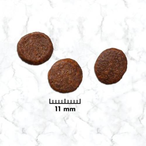Nutro Grain Free Junior, kurczak 1,4 kg - Nutro
