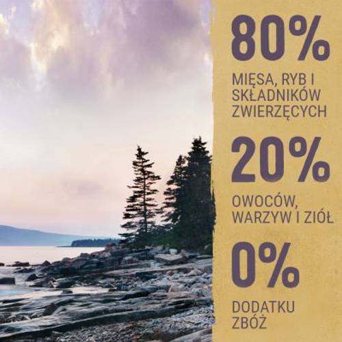 Purizon Senior, kurczak i ryba, bez zbóż 1 kg - Purizon