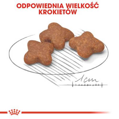 Royal Canin Mini Adult 8+ 2 x 8 kg - Royal Canin Size